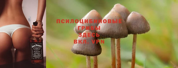 a pvp Абинск