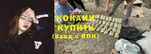 тгк Майский