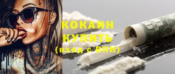 ПСИЛОЦИБИНОВЫЕ ГРИБЫ Магас