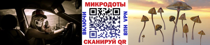 Галлюциногенные грибы прущие грибы  Чулым 
